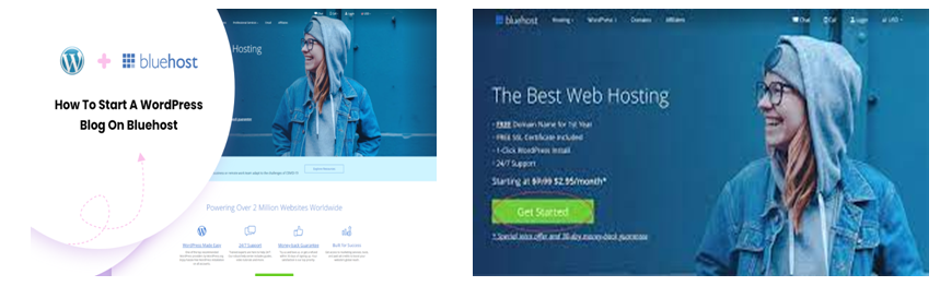 Squarespace vs Bluehost: WordPress Blog on Bluehost
